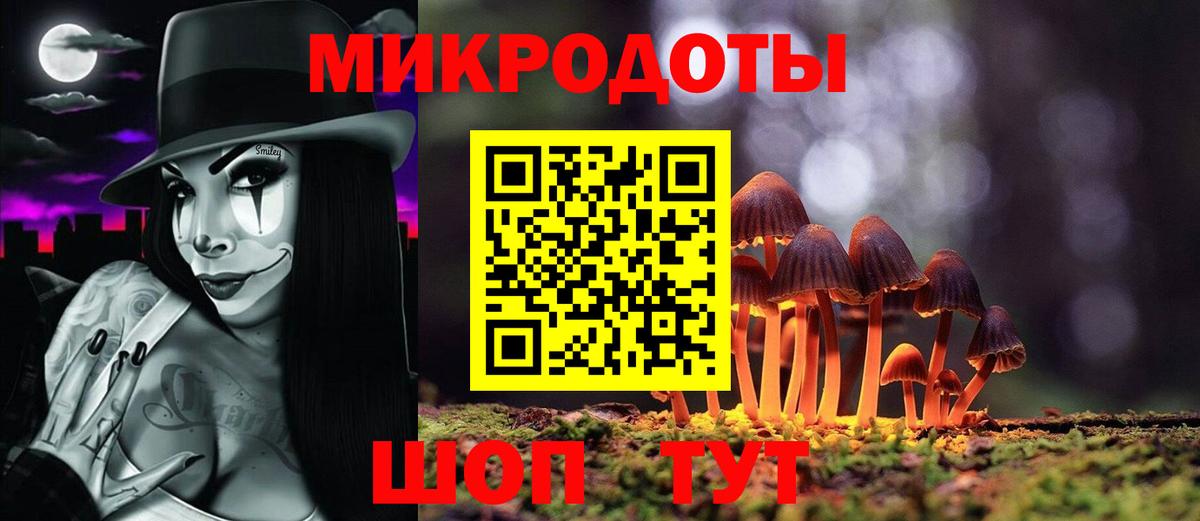Псилоцибиновые грибы Psilocybe Черногорск