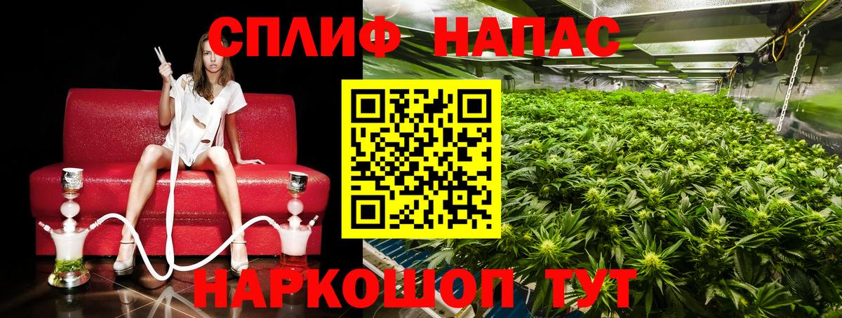 Марихуана марихуана Черногорск
